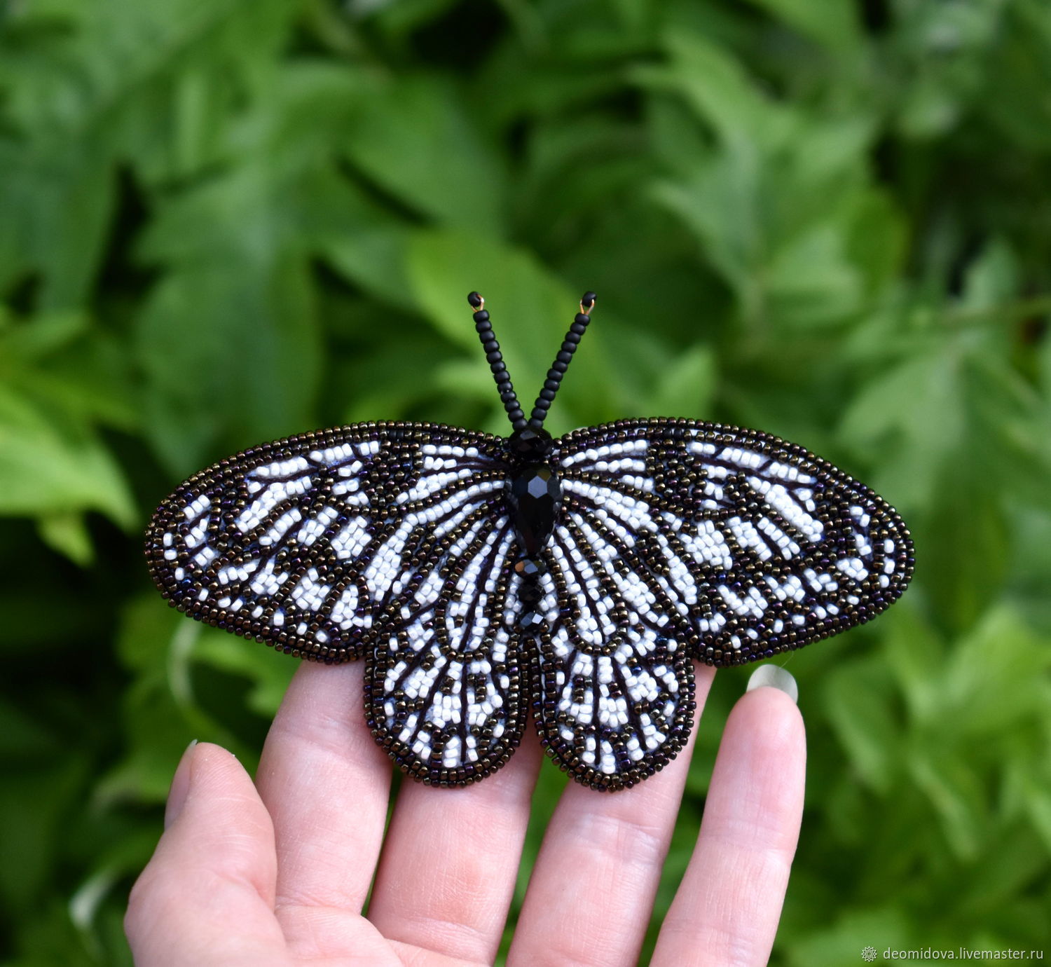 Бабочка черная купить. Бабочка черная. Брошь бабочка черная. Бабочка черно белая. Бабочки броши черные и белые.