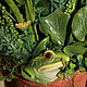 The frog may be but the Princess. country house, Composition, Novosibirsk,  Фото №1