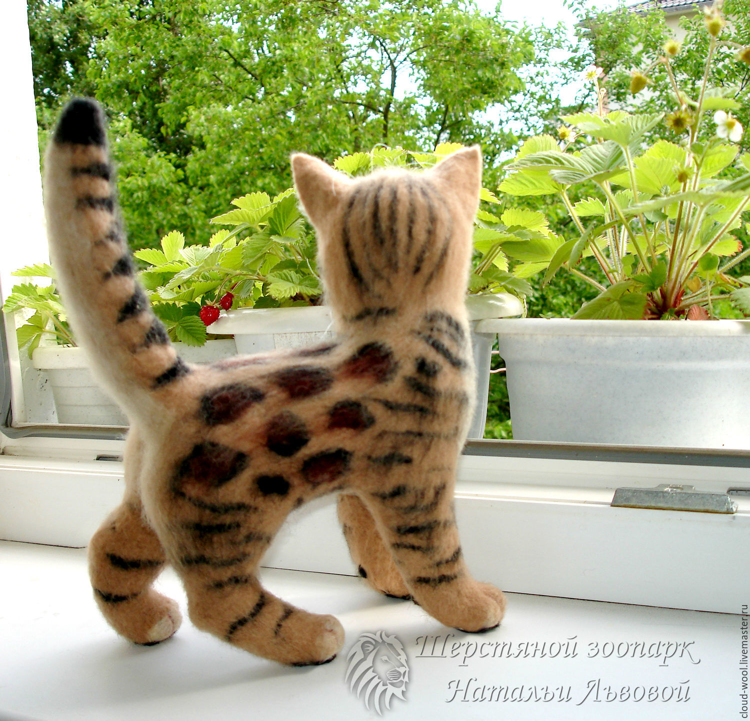 bengal toys