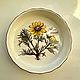 Villeroy & Boch Формы Botanica. Наборы посуды. Porzellan style. Ярмарка Мастеров.  Фото №4