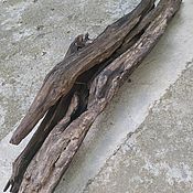 Полено дрифтвуд driftwood