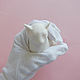  ориентальная кошка бисквитный фарфор. Статуэтки. Мечты в глазури. Интернет-магазин Ярмарка Мастеров.  Фото №2