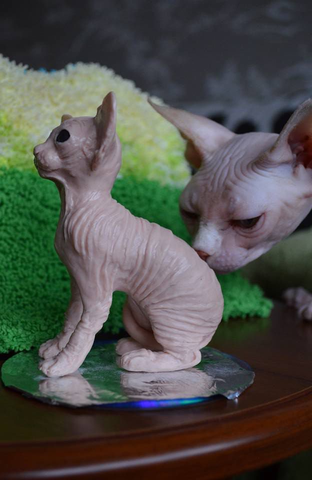 Мой профиль