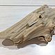 Дрифтвуд коряга фактурная. Природные материалы. Driftwoodlimania (Loram). Ярмарка Мастеров.  Фото №5