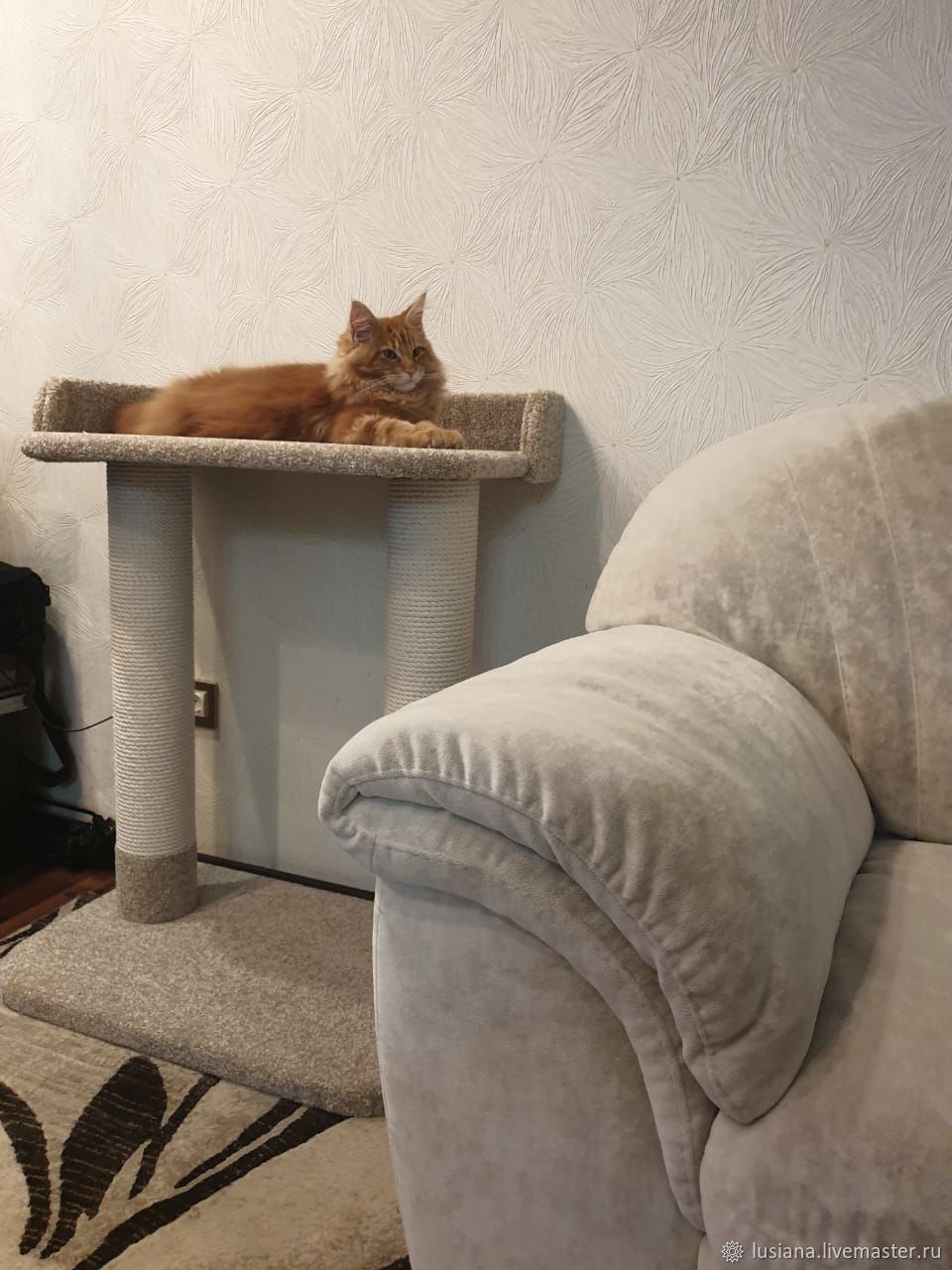 cat scratching post with bed
