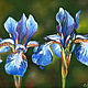  flowers Irises. Original. Pastel, Pictures, St. Petersburg,  Фото №1