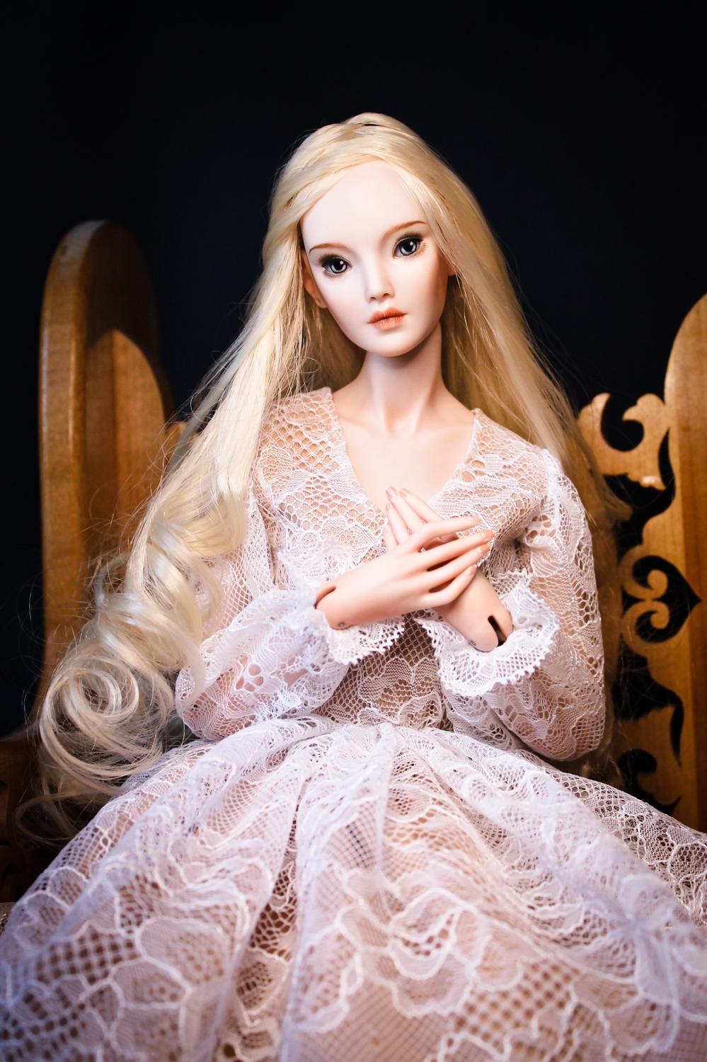Aurelia