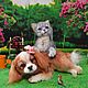 Котенок Барсик. Мягкие игрушки. Екатерина  Ким. Ярмарка Мастеров.  Фото №12