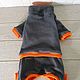 Order Cat Clothes Fleece Jumpsuit - 'Gray with orange '. Happy-sphynx. Livemaster. . Pet clothes Фото №3