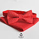 Red butterfly tie polka dot pocket square / the red wedding, Ties, Moscow,  Фото №1