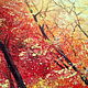 Bright autumn forest. Oil painting 30/40. Pictures. Fleurdelys-art. My Livemaster. Фото №6