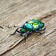 Textile brooch beetle Bronze. Brooches. Heat hands (TeplOlino). My Livemaster. Фото №5