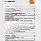 Дизайн и декор из соломки, книга 2004 года. Литературные произведения. EcoLife_23. Ярмарка Мастеров.  Фото №6