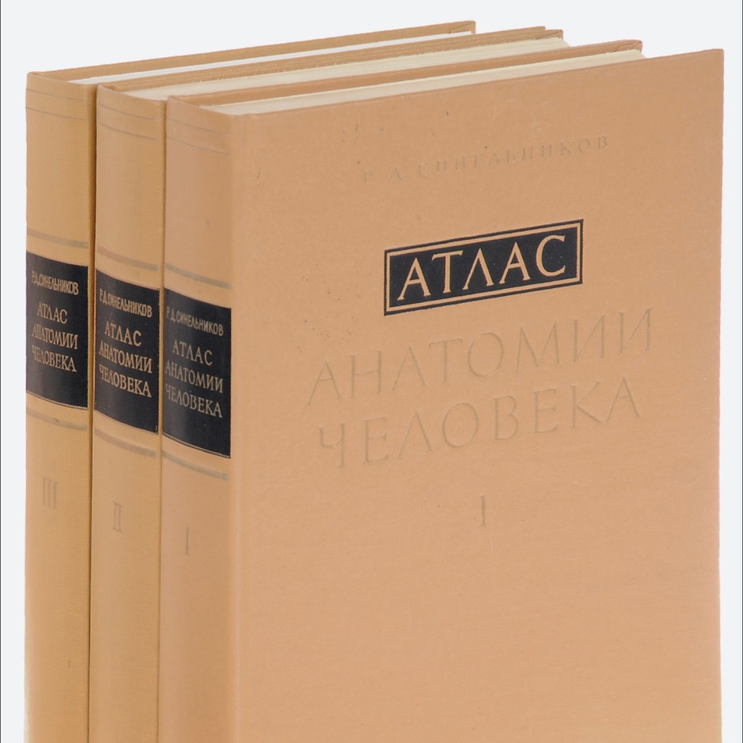 Учебник синельникова по анатомии. Атлас анатомии человека р.д Синельникова в 4 томах. Синельников атлас 1 том. Атлас анатомии человека Синельников в 4-х томах. Атлас анатомии человека том 3.