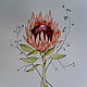 Watercolor painting ' African rose'. Pictures. OLMA ceramic&paint (mamontenok). Online shopping on My Livemaster.  Фото №2
