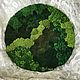 Круглая фитокартина из разных видов мха 100 см, Стабилизированный мох, Белгород,  Фото №1
