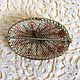 Antique brooch Floral Europe 30-40 g. Vintage brooches. Lesica. Online shopping on My Livemaster.  Фото №2