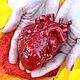 Анатомическое сердце в реальную величину, Сувениры по профессиям, Николаев,  Фото №1