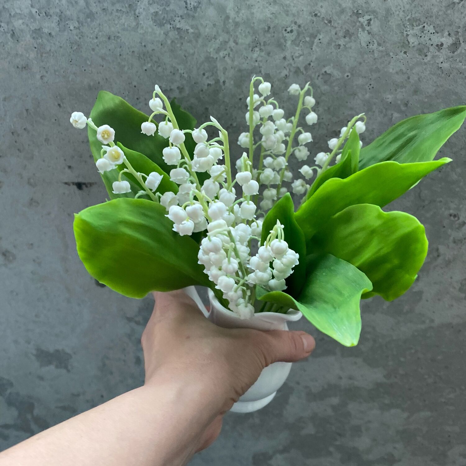 Шкатулка ландыши кисловодский фарфор. Фарфоровые ландыши. Фарфоровые ландыши. Кружка ландыши. Фарфоровые ландыши.