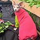 Order Cat clothes Warm Jumpsuit - 'Viva magenta/olive'. Happy-sphynx. Livemaster. . Pet clothes Фото №3