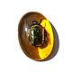 Order Magnet Beetle Scarab in Resin Amber Souvenir Gift Amulet. BalticAmberJewelryRu Tatyana. Livemaster. . Magnets Фото №3