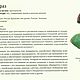 Серьги-пусеты с Хризопразом. Серебро. Серьги-пусеты. DenSi-Stone-Store (Denis Simiohin). Ярмарка Мастеров.  Фото №6