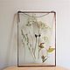 the herbarium in the glass. Herbarium of herbs. Wildflowers. Suspension. Glass Flowers. My Livemaster. Фото №4