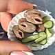 Селёдка для кукол. Кукольная еда. Миниатюра. Кукольная еда. Magic_Mini_World. Интернет-магазин Ярмарка Мастеров.  Фото №2