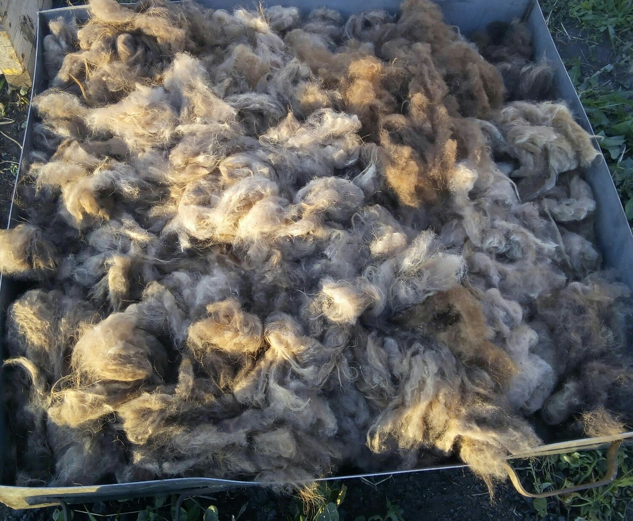 Мой профиль