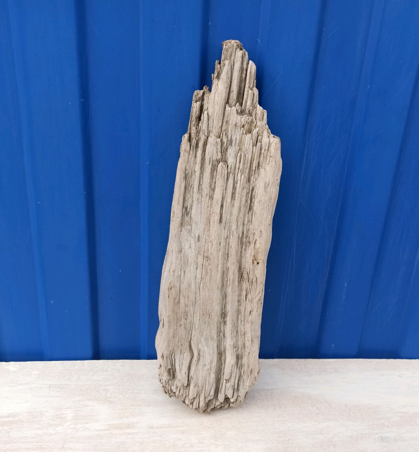Дрифтвуд driftwood деревяшка, Природные материалы, Анапа,  Фото №1