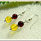 Earrings 'Colored balls' amber silver, Earrings, Moscow,  Фото №1