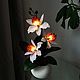 Luz de noche de orquídeas ' mi Alma', Nightlights, Surgut,  Фото №1
