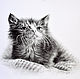 Kitten, Pictures, Ekaterinburg,  Фото №1