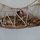 The wicker bridge for cats 'Victoria-Suite'. Ladders, steps for animals. VIMBESK. My Livemaster. Фото №4