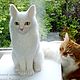 Кот Ромашка / валяный из шерсти белый котик / Cat white. Войлочная игрушка. Шерстяной Зоопарк Наталья Львова. Ярмарка Мастеров.  Фото №6