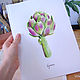 Artichoke Botanical watercolor. Pictures. vettochka. Online shopping on My Livemaster.  Фото №2