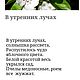 Стихи на заказ. Слова. Татьяна Черникова (TatCher). Ярмарка Мастеров.  Фото №4