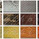 Заказать Сапоги из кожи питона VANESSA. Экзотик-мастерская Python Fashion. Ярмарка Мастеров. . Сапоги Фото №3