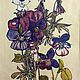 Watercolor herbarium.Charles Rennie Mackintosh, a copy of, Pictures, Moscow,  Фото №1