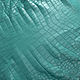 Целая одёжная шкура крокодила цвет бирюзовый. Кожа. Centropelle. Интернет-магазин Ярмарка Мастеров.  Фото №2