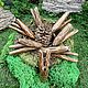 Курипи двойная. Кокосовое дерево. Трубка для рапэ. Shamanic-staff. Интернет-магазин Ярмарка Мастеров.  Фото №2