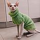 Plush sweater 'Cozy' for cats (various options). Pet clothes. anyapetrova05. My Livemaster. Фото №5