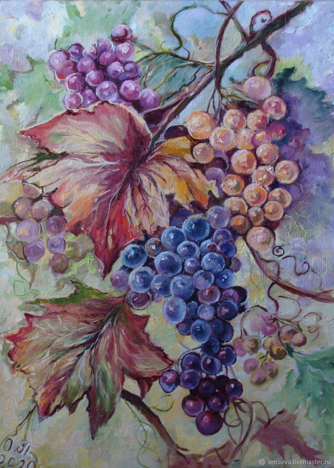 Гроздь винограда - Стоковые фотографии, изображения по лицензии роялти-фри | Focused