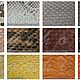 Ботильоны из питона Mabeline. Ботильоны. Boutique Python Fashion. Ярмарка Мастеров.  Фото №4