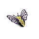 Brooch-pin: Moth Violetta, Brooches, Kirov,  Фото №1