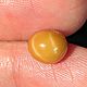 Природный жемчуг Мело(Melo), 2,48ct, Минералы, Москва,  Фото №1