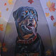 Зонт с росписью `Благородство`
Портрет собаки по фото
Юлия Ромас