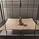 Hammock stretching for rodents, Pet Hammock, Moscow,  Фото №1
