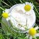Soothing CHAMOMILE cream, Creams, Moscow,  Фото №1