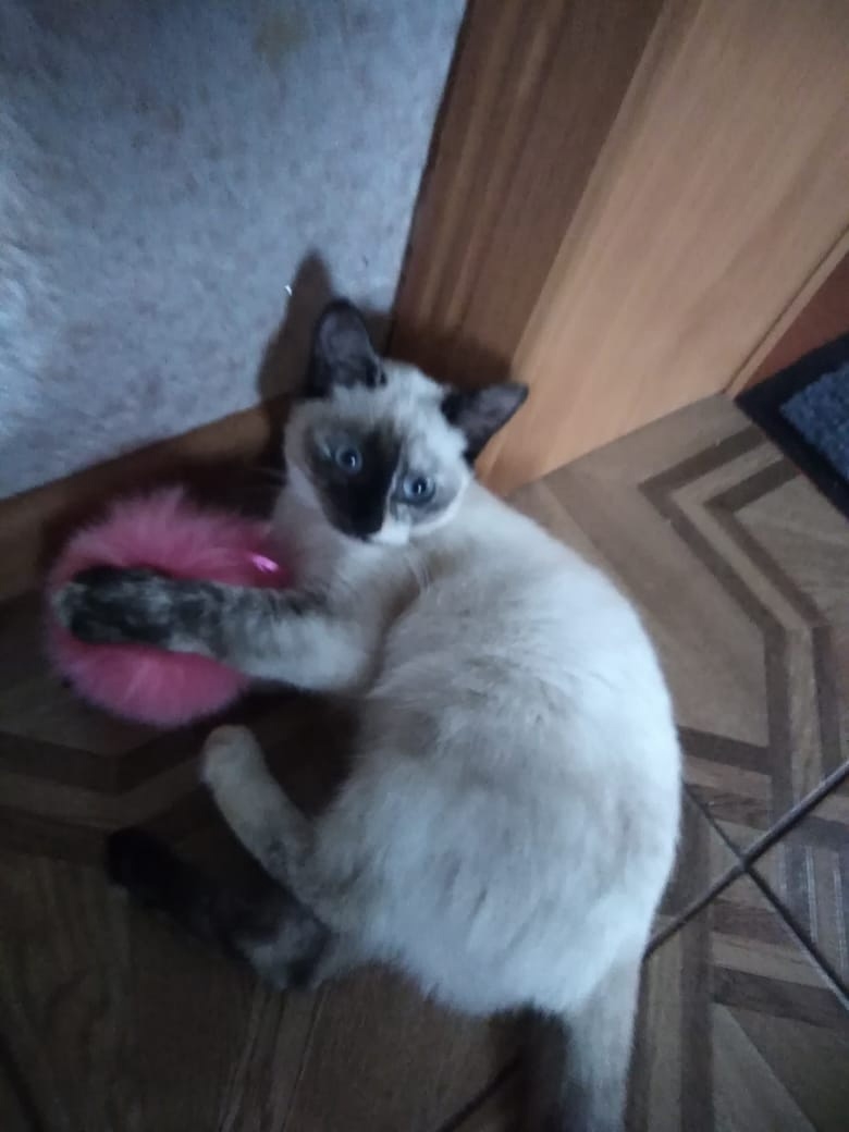 Мой профиль